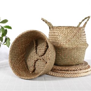 Giỏ mây trồng cây